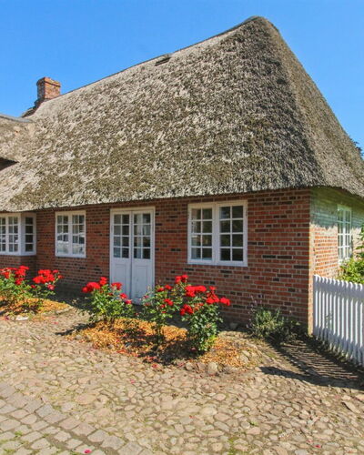 Bedine - 10Km from the Sea