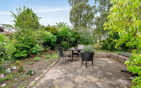Ayo - 200M from the Sea: Vegetation, Shrub, Garden, Plant Community, Groundcover, Flagstone, Shade, Landscaping, Backyard