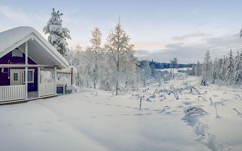 Lauhalehto: Snow, Winter, Branch, Cottage, House, Freezing, Home, Frost, Geological Phenomenon, Twig