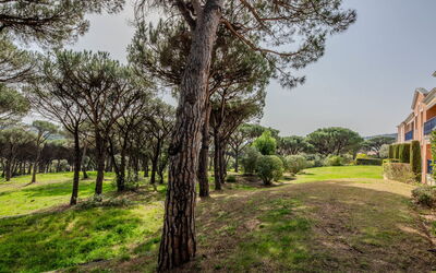 Les Pins Bleus App.02