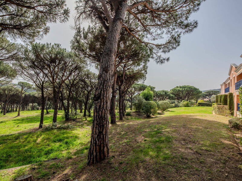 Les Pins Bleus