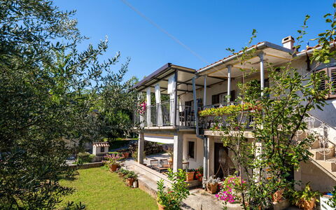 Mrak: Residential Area, Home, Door, Balcony, Porch, Shade, Flowerpot, Estate, Yard, Houseplant