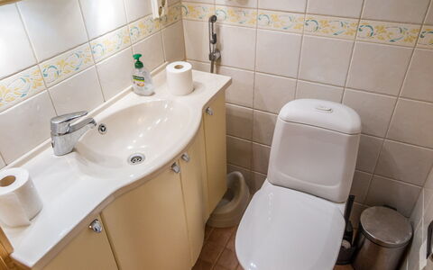 Tahkon Polar: Bathroom Sink, Bathroom, Plumbing Fixture, Sink, Toilet Seat, Toilet, Tap, Interior Design, Plumbing, Floor