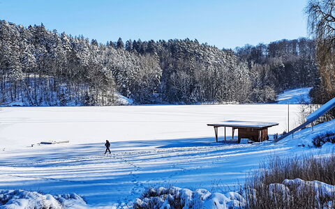 Freigeist: Snow, Blue, Winter, Tree, Freezing, Ice, Frost, Slope, Ice Cap, Glacial Landform