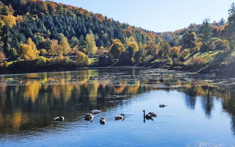 Freigeist: Water, Water Resources, Body Of Water, Nature, Natural Environment, Natural Landscape, Watercourse, Bank, Reflection, Landscape