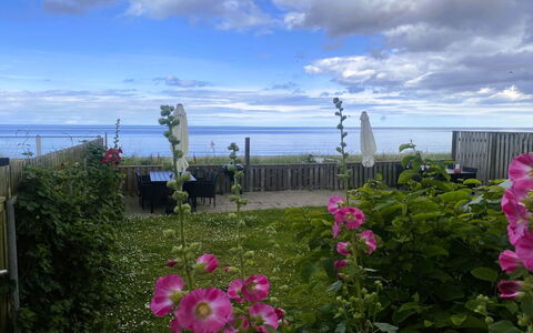 Nedelko - 20M from the Sea: Flower, Petal, Flowering Plant, Ocean, Sea, Garden, Herbaceous Plant, Rose Family, Wildflower