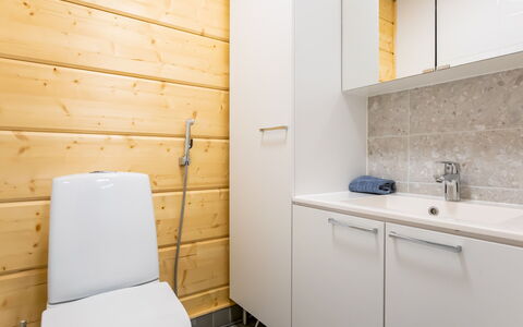 Joutsenranta: Flooring, Toilet Seat, Plumbing Fixture, Bathroom, Toilet, Bathroom Sink, Floor, Wood, Sink, Bathroom Cabinet