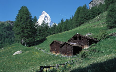 Sonnhalde a: Estate, Landscaping, Villa, Hedge, Balcony