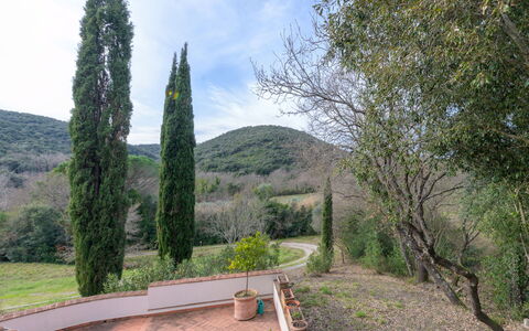 La Valle: Leaf, Shrub, Garden, Landscaping, Evergreen, Pine Family, Larch