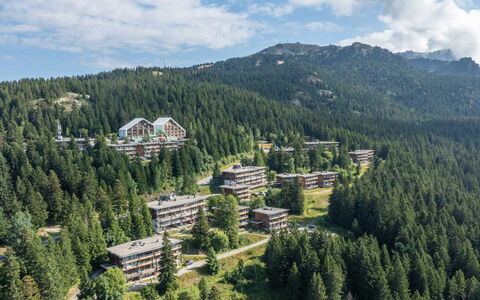 V. du Bachat Joubarbes: Tree, Landscape, Residential Area, Highland, Hill Station, Home, Forest, Mountain Range, Slope, Larch