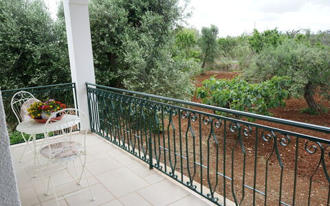 Villa Antony: Balcony, Iron, Metal, Fence, Porch, Outdoor Furniture, Chair, Shade, Outdoor Table, Handrail