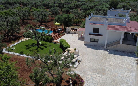 Villa Antony: Home, Estate, Garden, Hacienda, Landscaping, Yard, Mansion, Villa, Driveway, Shade