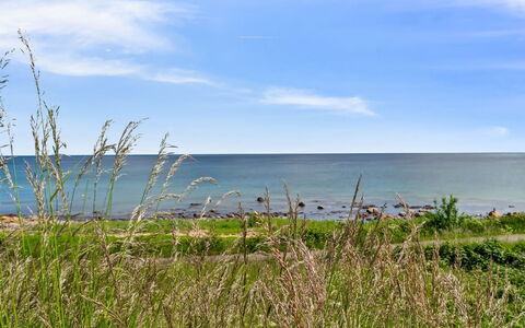 Yosefin - 50M from the Sea: Grass, Grassland, Land Lot, Cottage, Rural Area, Meadow, Garden Buildings, Garden, Shed