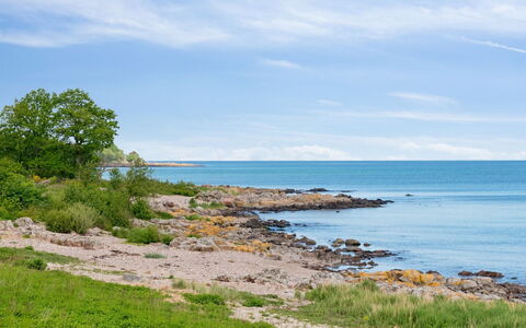 Yosefin - 50M from the Sea: Grass, Grassland, Land Lot, Cottage, Rural Area, Meadow, Garden Buildings, Garden, Shed