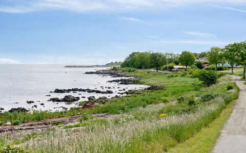 Yosefin - 50M from the Sea: Grass, Grassland, Land Lot, Cottage, Rural Area, Meadow, Garden Buildings, Garden, Shed