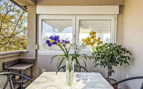 Sara: Furniture, Interior Design, Chair, Kitchen & Dining Room Table, Apartment, Houseplant, Flowerpot, Shade, Glass, Balcony