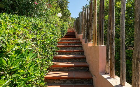 Pellicano: Shrub, Garden, Spring, Shade, Landscaping, Walkway, Botanical Garden, Flowerpot, Fence, Home Fencing