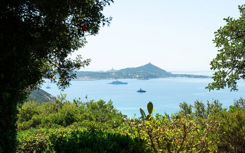 Pellicano: Blue, Leaf, Green, Vegetation, Natural Landscape, Shrub, Plant Community, Coastal And Oceanic Landforms, Sea, Coast