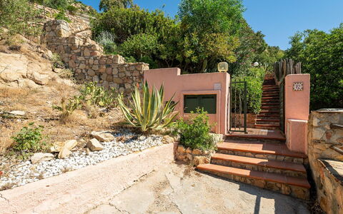 Pellicano: Shrub, Rock, Plant Community, Garden, Landscaping, Flowerpot, Flagstone, Stairs, Stone Wall