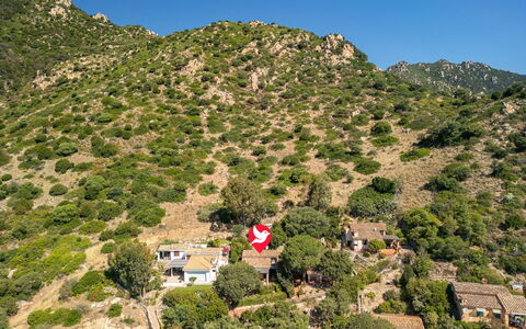 Pellicano: Mountainous Landforms, Vegetation, Landscape, Mountain, Rural Area, Highland, Hill, Plant Community, Chaparral, Hill Station