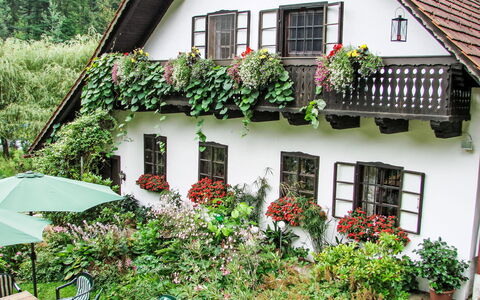 Himmelreichmühle: House, Shrub, Cottage, Door, Balcony, Flowerpot, Houseplant, Garden, Farmhouse