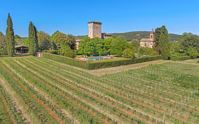 Medieval Castle Living: Vineyards, Swimming Pool &
