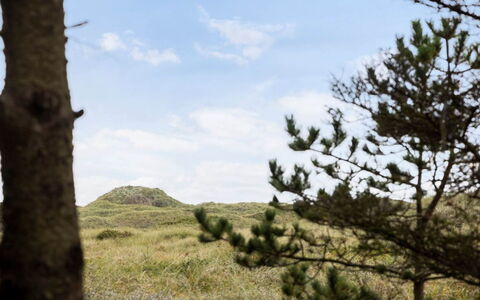 Patti - 700M from the Sea: Sky, Grass, Natural Environment, Vegetation, Grassland, Ecoregion, Wilderness, Plant Community, Shrub, Cloud