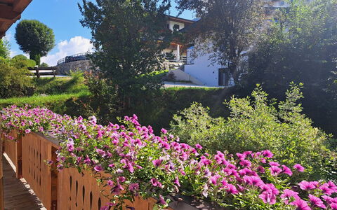 Weißbacher: Flower, Shrub, Pink, Garden, Purple, Spring, Flowering Plant, Groundcover, Petal