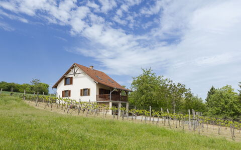 Pax: Grass, House, Rural Area, Cottage, Roof, Home, Landscape, Plain, Land Lot