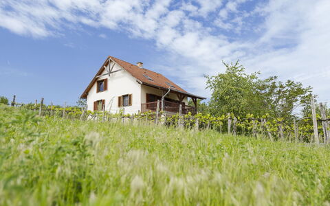 Pax: Grass, House, Rural Area, Cottage, Roof, Home, Landscape, Plain, Land Lot