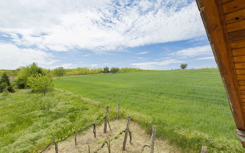 Pax: Grass, House, Rural Area, Cottage, Roof, Home, Landscape, Plain, Land Lot