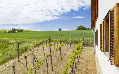 Pax: Grass, House, Rural Area, Cottage, Roof, Home, Landscape, Plain, Land Lot