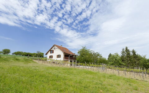 Pax: Grass, House, Rural Area, Cottage, Roof, Home, Landscape, Plain, Land Lot