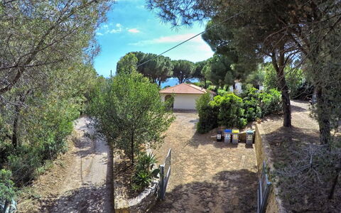 Capoliveri 860: Tree, Leaf, Shrub, Garden, Landscaping, Shade, Estate, Driveway, Backyard