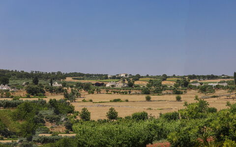 Trulli Retreat, Pool, Locorotondo: Sky, Vegetation, Horizon, Ecoregion, Plain, Shrub, Plant Community, Grassland, Land Lot, Rural Area