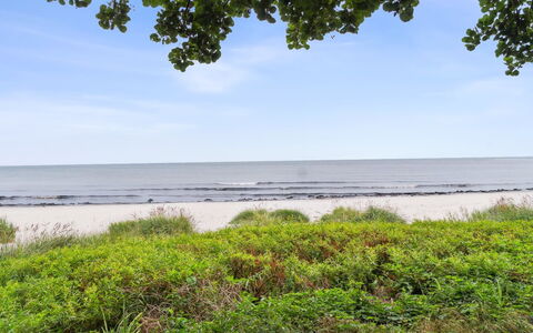 Gottfrida - 50M from the Sea: Blue, Cottage, House, Home, Farmhouse, Estate, Siding