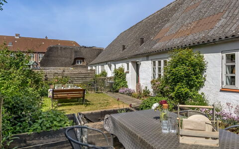 Spase - 23Km from the Sea: Shrub, House, Residential Area, Home, Garden, Shade, Yard, Courtyard, Flowerpot