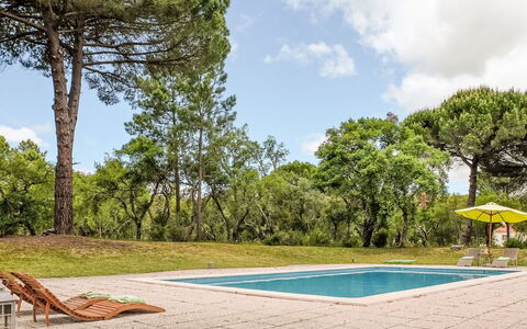 Villa Dos Sobreiros: Tree, Garden, Shade, Lawn, Landscaping, Park, Estate, Yard, Woodland, Outdoor Furniture