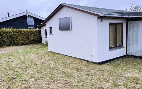 Ginger - 50M from the Sea: Roof, House, Residential Area, Home, Cottage, Door, Siding, Shed, Garden Buildings, Backyard