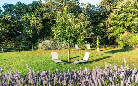 Cignella Resort: Grass, Shrub, Garden, Lawn, Spring, Groundcover, Meadow, Park, Shade