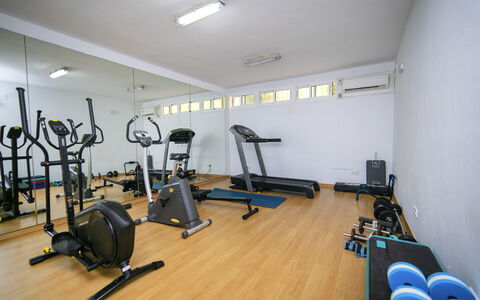 Altea Natura: Flooring, Floor, Room, Ceiling, Interior Design, Lighting, Exercise Equipment, Exercise Machine, Furniture, Gym