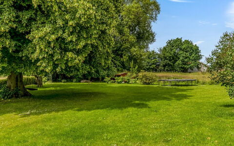 Edla - 5Km from the Sea: Blue, Green, Daytime, Tree, Grass, Leaf, Natural Environment, Nature, Branch, Grassland