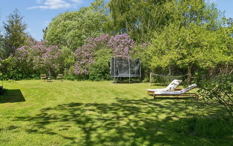 Holmfridur - 1.1Km from the Sea: Grass, Tree, Vegetation, Garden, Shrub, Land Lot, Grassland, Lawn, Plant Community, Furniture