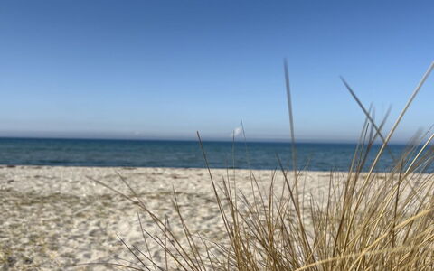 Holmfridur - 1.1Km from the Sea: Blue, Horizon, Beach, Coast, Sea, Ecoregion, Coastal And Oceanic Landforms, Shore, Sand