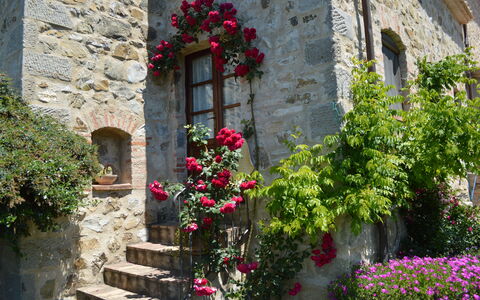 Agriturismo Bellavista, Private Pool, Val D'Orcia: Flower, Wall, Green, Shrub, Petal, Pink, Spring, Stone Wall, Garden