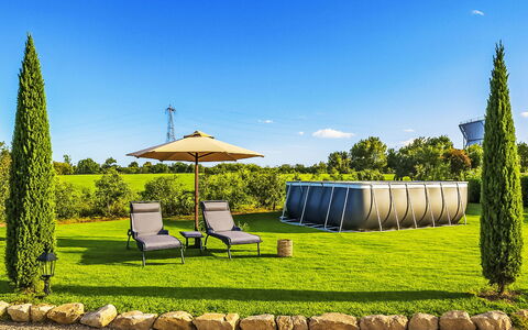 Il Tiglioré: Grass, Garden, Shade, Lawn, Landscaping, Leisure, Outdoor Furniture, Yard, Artificial Turf, Park
