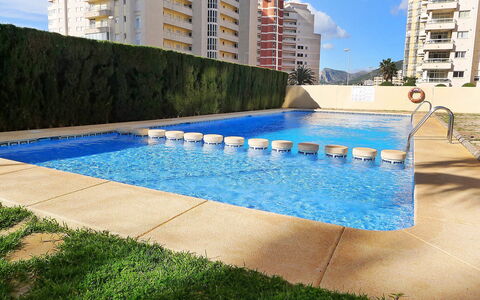 Morello: Water, Building, Sky, Daytime, Plant, Property, Swimming Pool, Azure, Rectangle, Shade