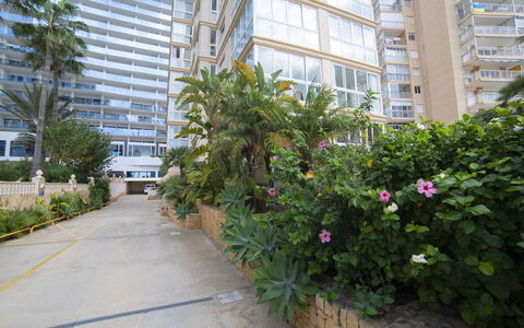 La Joya: Sky, Building, Plant, Window, Tree, Urban Design, Residential Area, Asphalt, Wheel, Road Surface