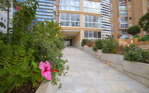 La Joya: Sky, Building, Plant, Window, Tree, Urban Design, Residential Area, Asphalt, Wheel, Road Surface