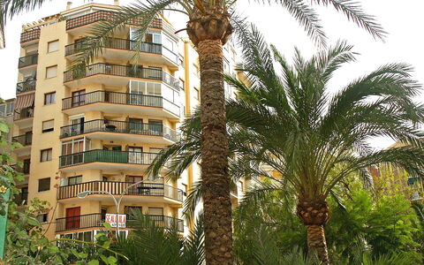 Calpe Calp 390: Plant, Building, Property, Window, Sky, Tree, Terrestrial Plant, Arecales, Vegetation, House